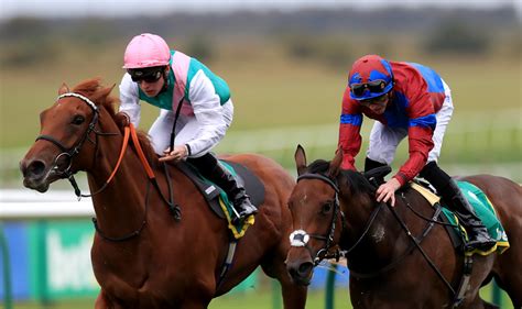 bet365 trainers with runners today.